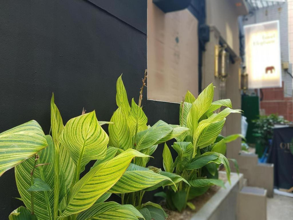 Hotel Elephant Busan Ngoại thất bức ảnh